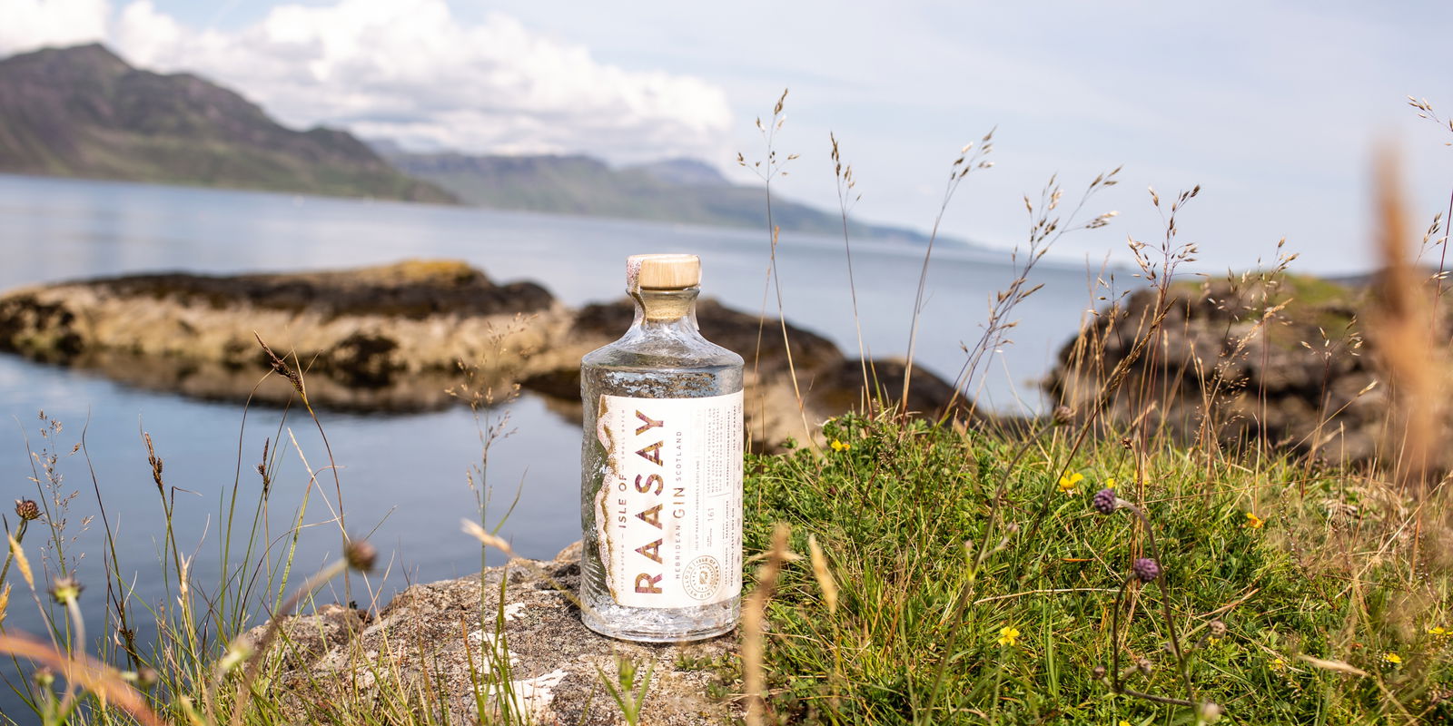 Conseil de gin
 Le gin pétillant Raasay